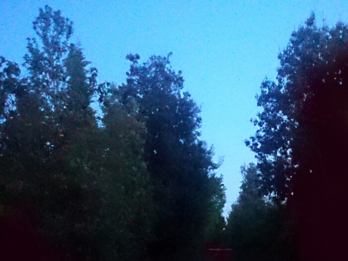 f:id:jerich:20180417232426j:plain