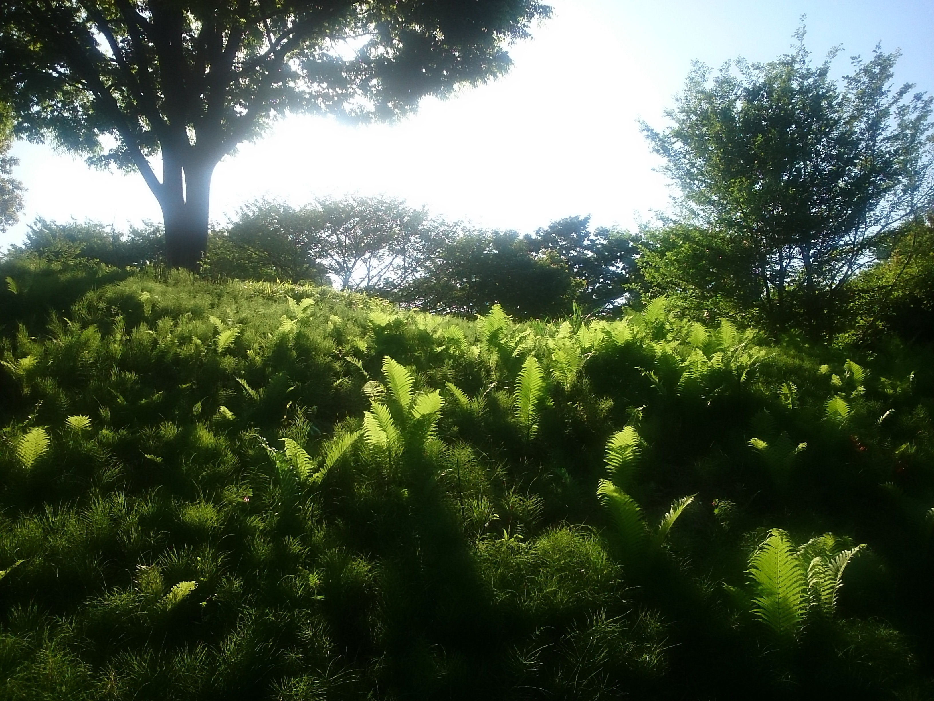 f:id:jerich:20180424012710j:image