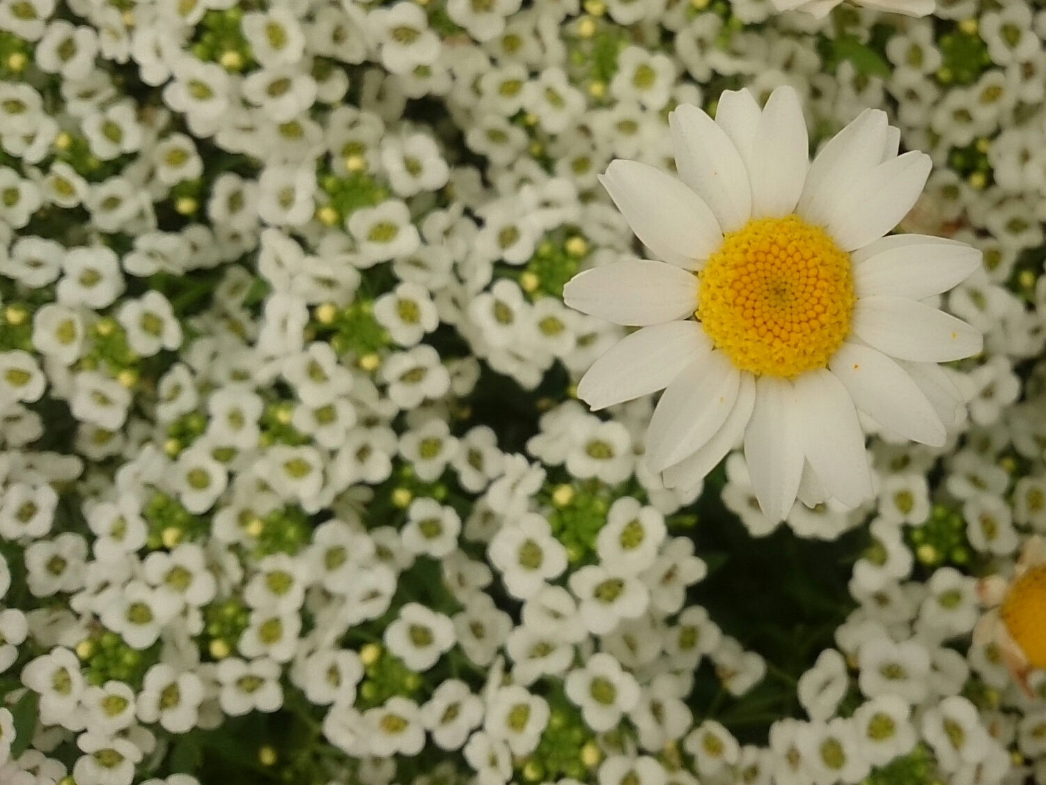 f:id:jerich:20180428042002j:image