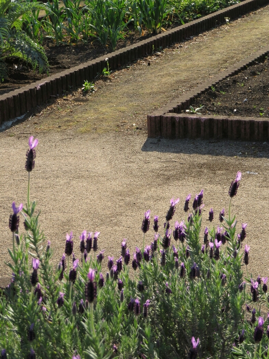 f:id:jerich:20180429031659j:plain