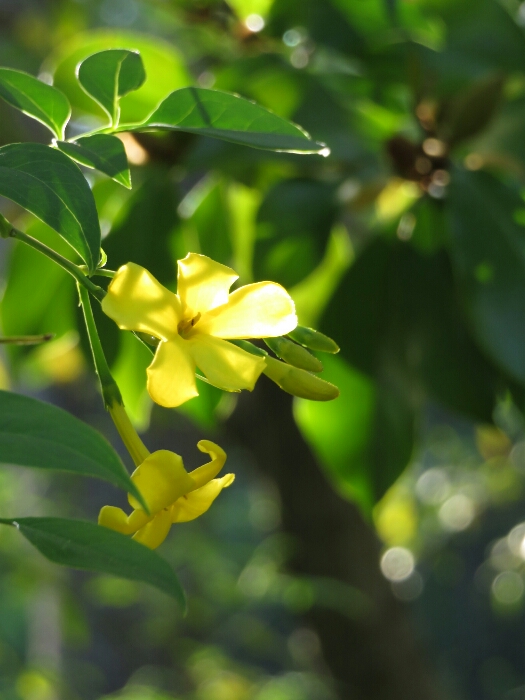 f:id:jerich:20180429031703j:plain