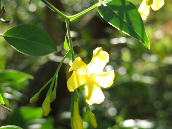 f:id:jerich:20180429031706j:plain