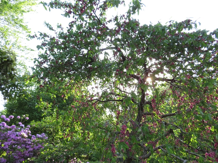 f:id:jerich:20180429033616j:plain