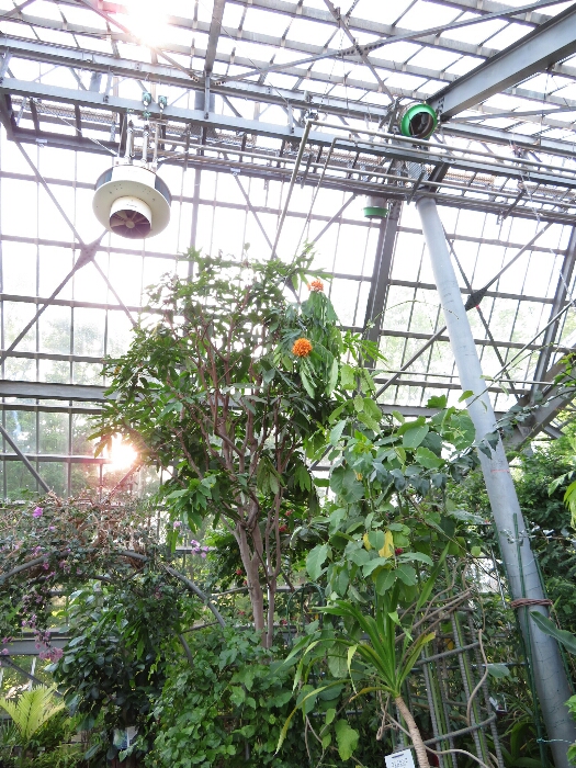 f:id:jerich:20180429033621j:plain