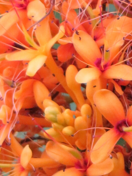 f:id:jerich:20180429035507j:plain