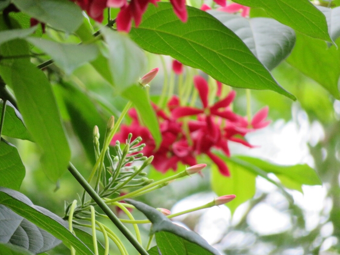 f:id:jerich:20180429035510j:plain