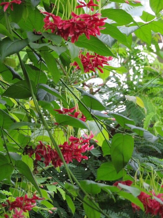 f:id:jerich:20180429041352j:plain