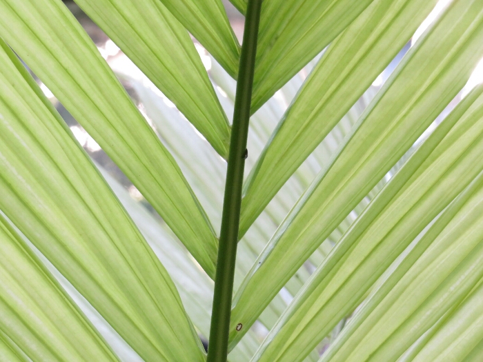 f:id:jerich:20180429041356j:plain