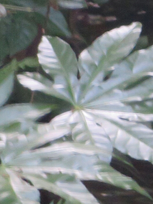 f:id:jerich:20180429042702j:plain