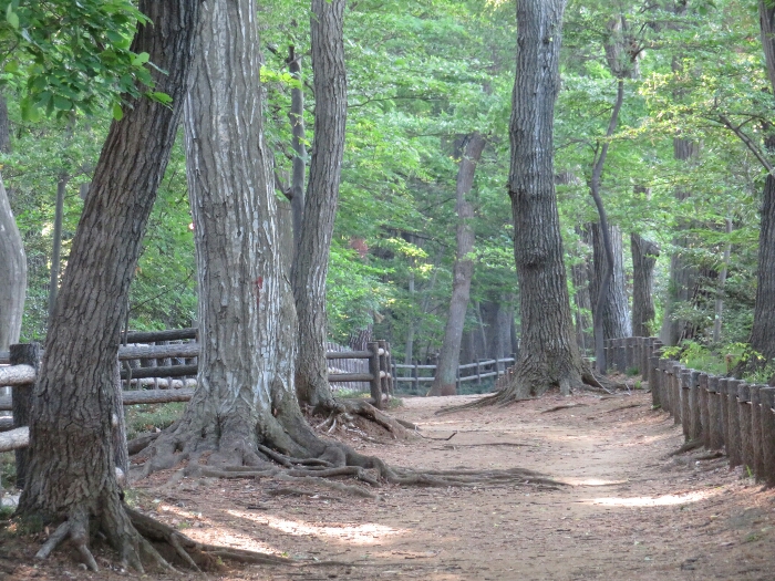 f:id:jerich:20180429042705j:plain