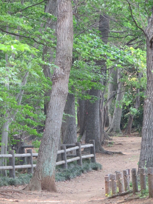 f:id:jerich:20180429042708j:plain