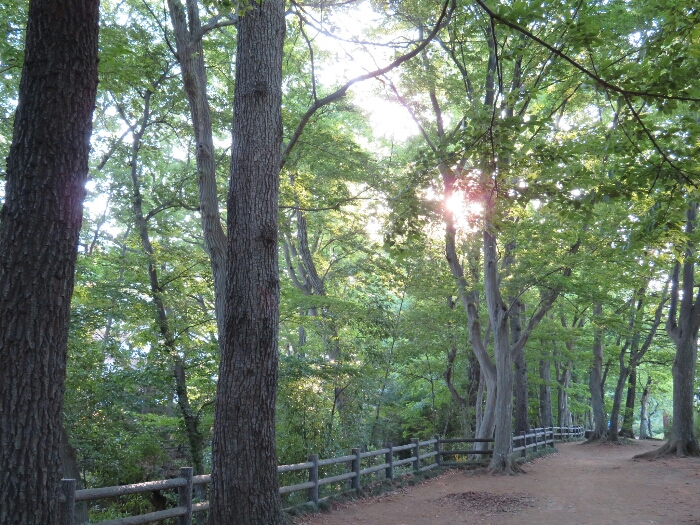 f:id:jerich:20180429042712j:plain