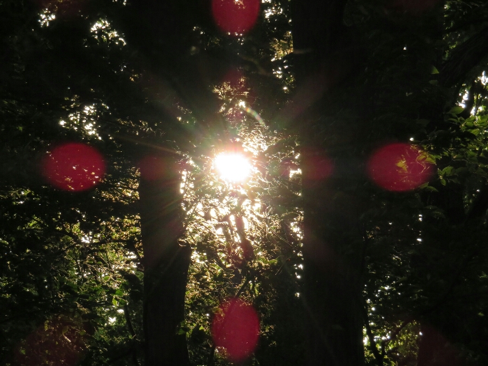 f:id:jerich:20180429042715j:plain