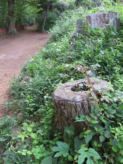 f:id:jerich:20180429044451j:plain