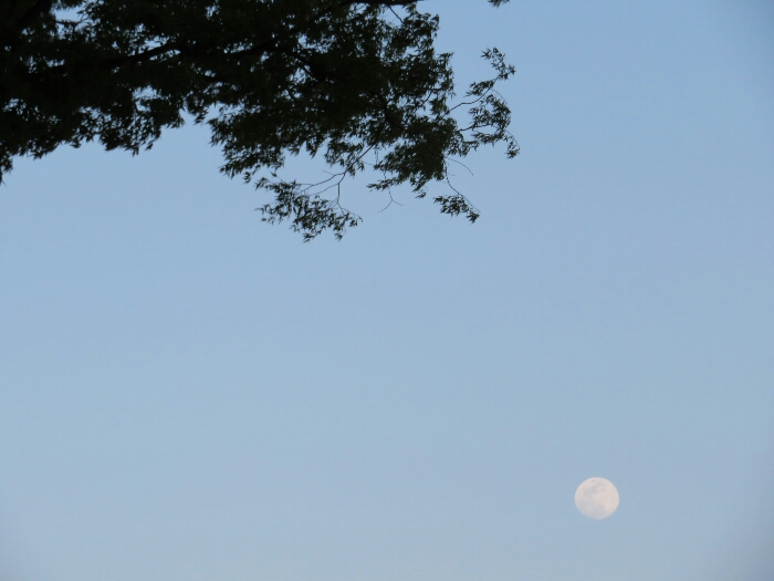 f:id:jerich:20180429065416j:plain