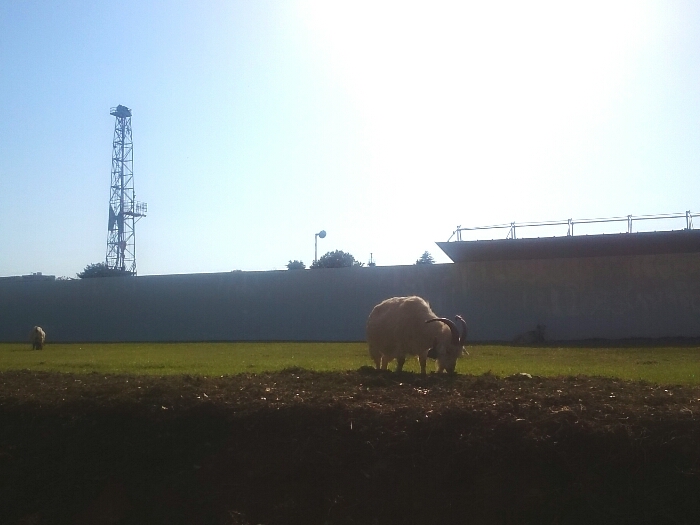 f:id:jerich:20180430004000j:plain f:id:jerich:20180430004000j:plain