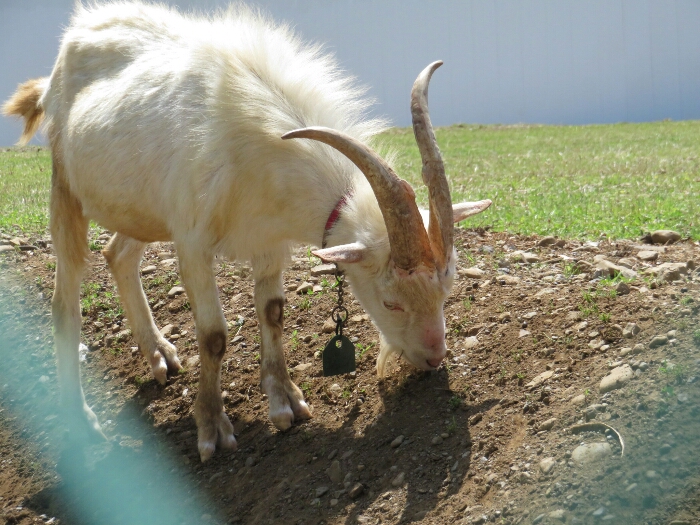 f:id:jerich:20180430005104j:plain f:id:jerich:20180430005104j:plain