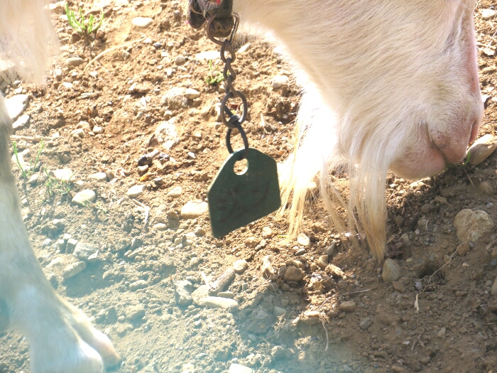 f:id:jerich:20180430005114j:plain f:id:jerich:20180430005114j:plain