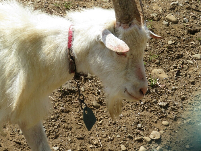 f:id:jerich:20180430005121j:plain f:id:jerich:20180430005121j:plain