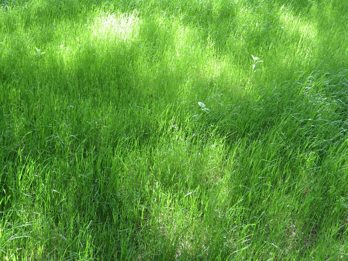 f:id:jerich:20180501005048j:plain f:id:jerich:20180501005048j:plain