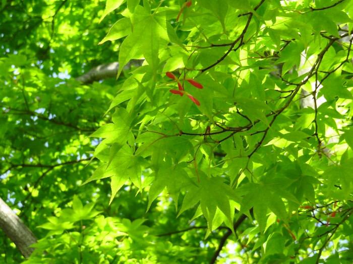 f:id:jerich:20180501012604j:plain f:id:jerich:20180501012604j:plain