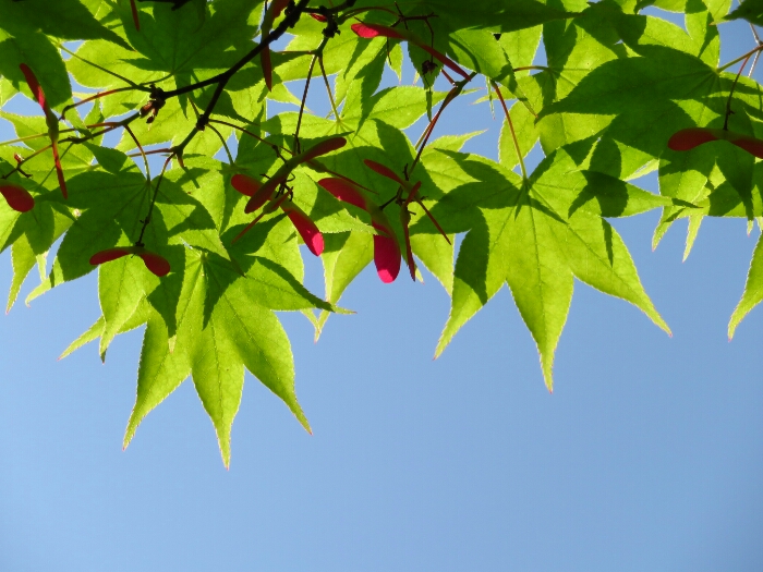 f:id:jerich:20180501012607j:plain f:id:jerich:20180501012607j:plain