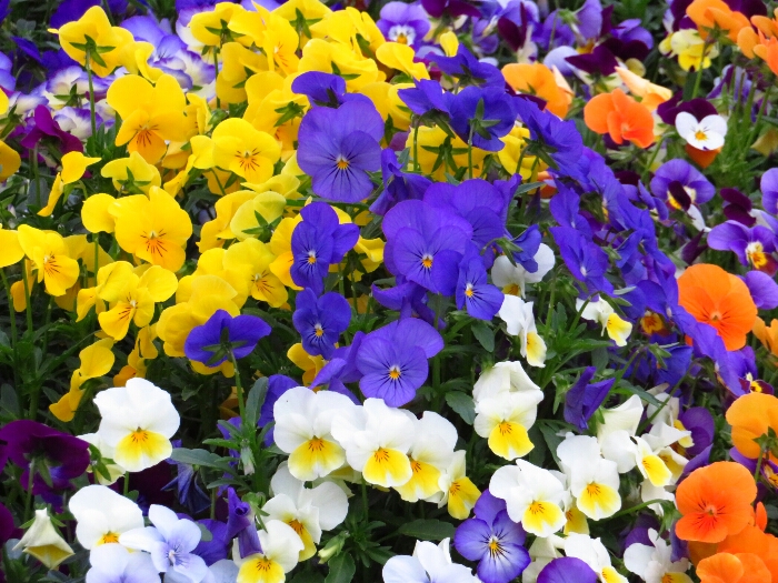 f:id:jerich:20180501014852j:plain f:id:jerich:20180501014852j:plain