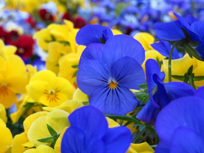 f:id:jerich:20180501014855j:plain f:id:jerich:20180501014855j:plain