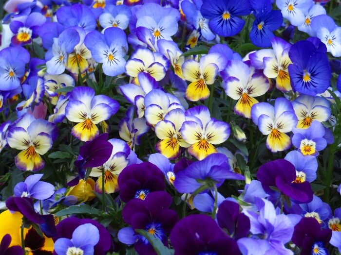 f:id:jerich:20180501014858j:plain f:id:jerich:20180501014858j:plain