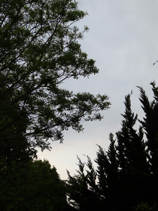 f:id:jerich:20180501014902j:plain f:id:jerich:20180501014902j:plain