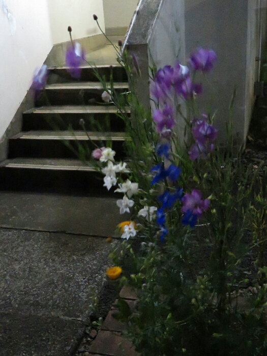 f:id:jerich:20180501020508j:plain f:id:jerich:20180501020508j:plain