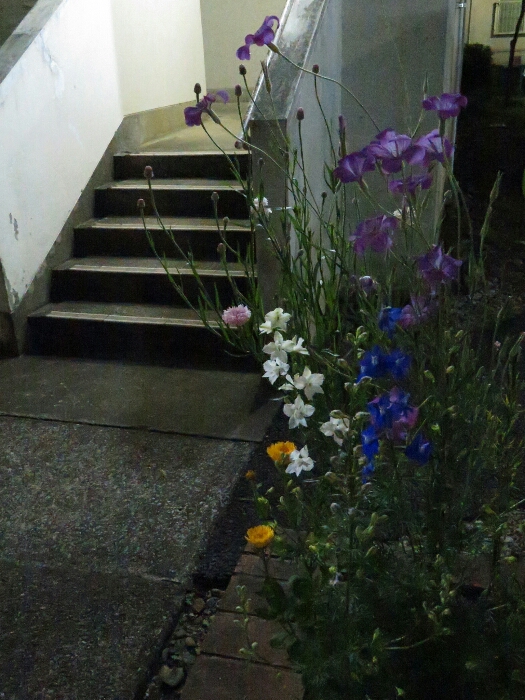 f:id:jerich:20180501020511j:plain f:id:jerich:20180501020511j:plain