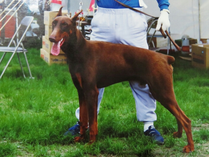 f:id:jerich:20180501225644j:plain