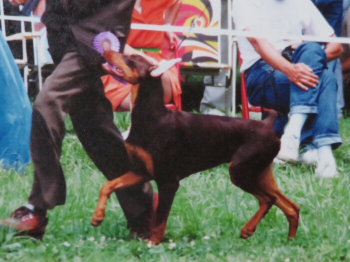 f:id:jerich:20180501225650j:plain