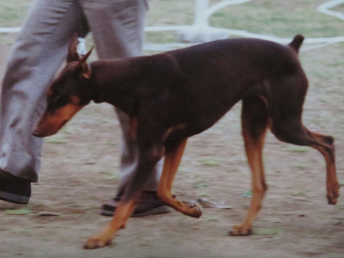 f:id:jerich:20180501225654j:plain