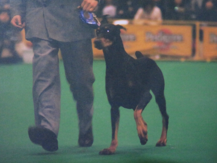 f:id:jerich:20180501225702j:plain