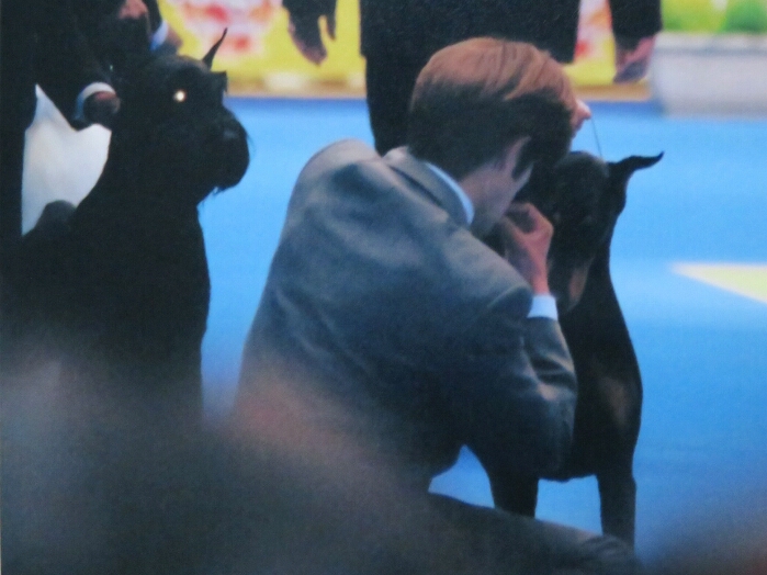 f:id:jerich:20180501225705j:plain