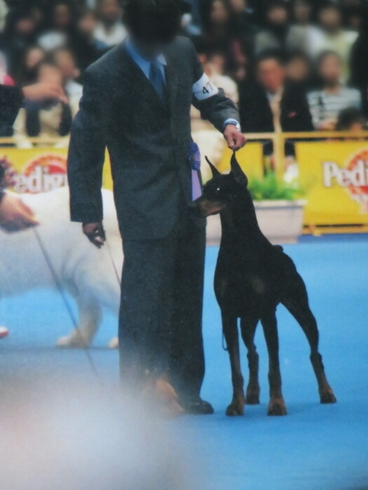 f:id:jerich:20180501225710j:plain