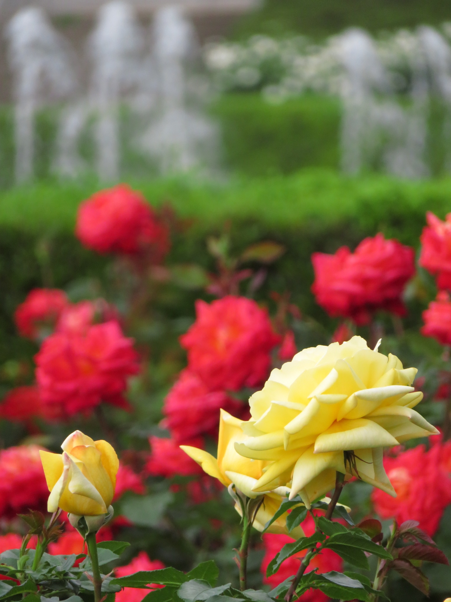 f:id:jerich:20180511012403j:image