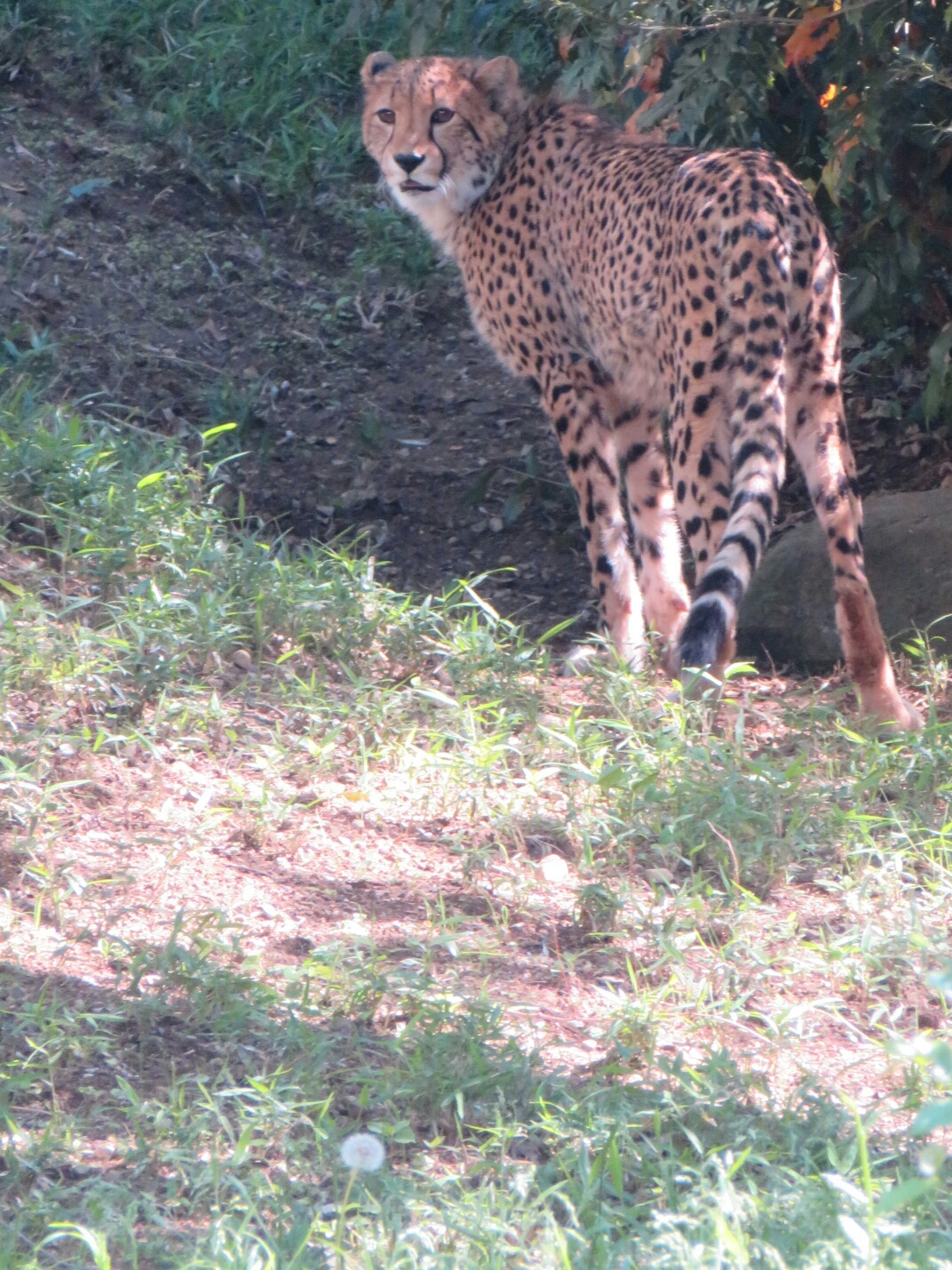 f:id:jerich:20180512012829j:image