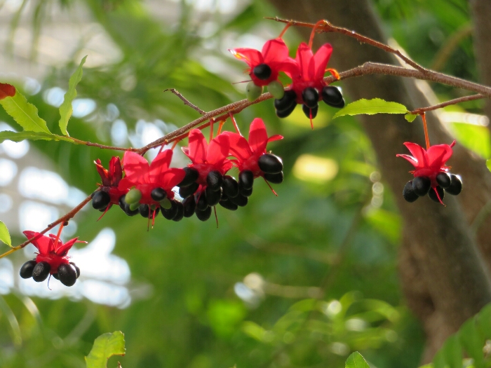 f:id:jerich:20180512232102j:plain f:id:jerich:20180512232102j:plain