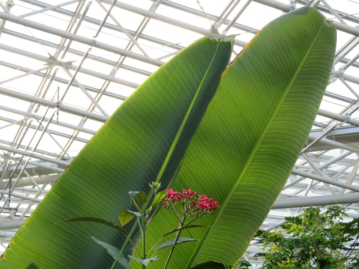 f:id:jerich:20180512233200j:plain f:id:jerich:20180512233200j:plain