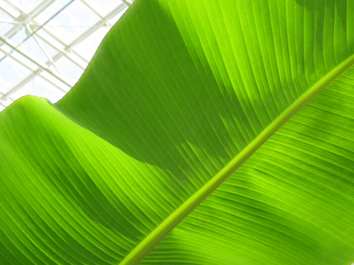 f:id:jerich:20180512233205j:plain f:id:jerich:20180512233205j:plain