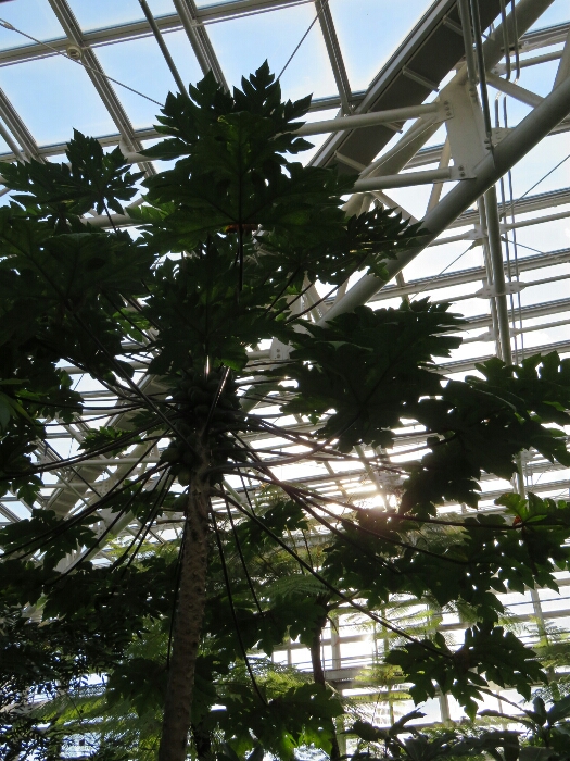 f:id:jerich:20180512233208j:plain f:id:jerich:20180512233208j:plain