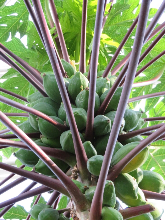 f:id:jerich:20180512233212j:plain f:id:jerich:20180512233212j:plain