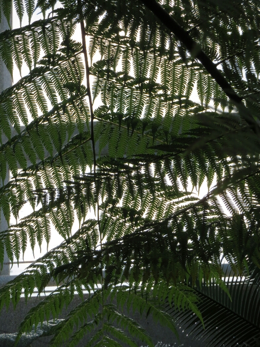 f:id:jerich:20180513000257j:plain f:id:jerich:20180513000257j:plain