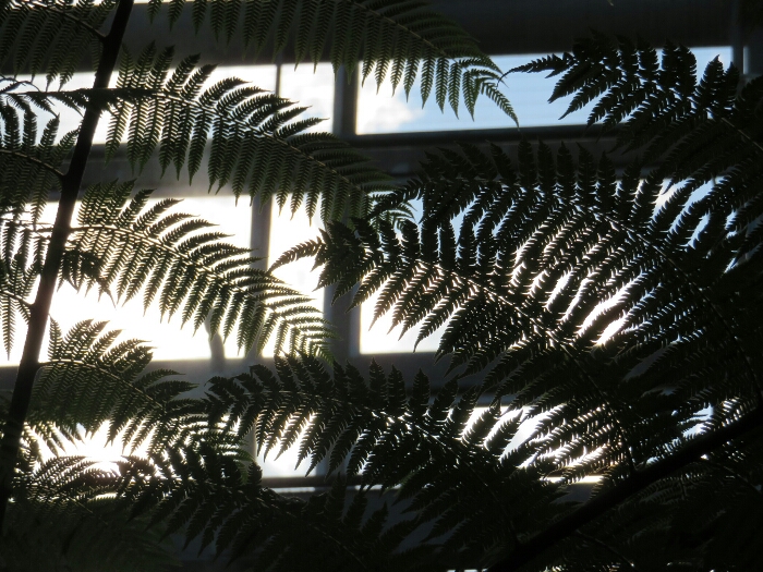 f:id:jerich:20180513000301j:plain f:id:jerich:20180513000301j:plain