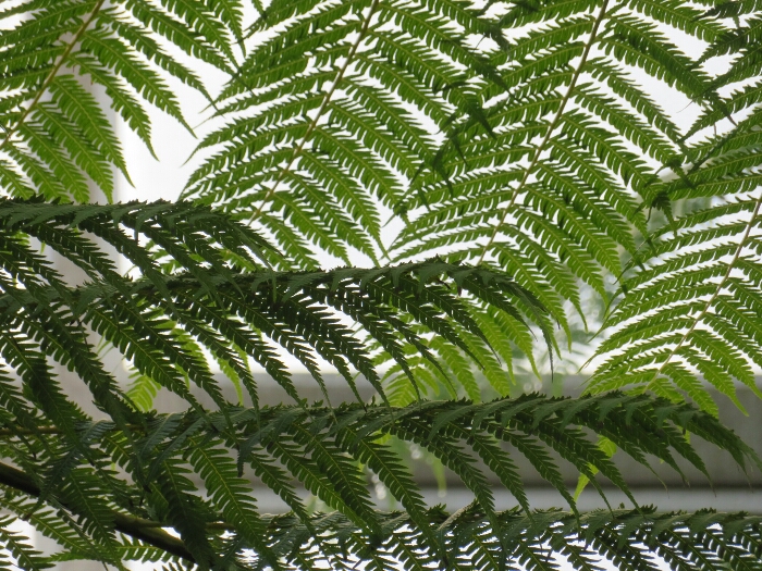 f:id:jerich:20180513000304j:plain f:id:jerich:20180513000304j:plain