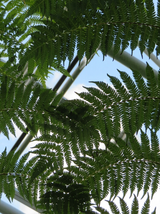 f:id:jerich:20180513000307j:plain f:id:jerich:20180513000307j:plain