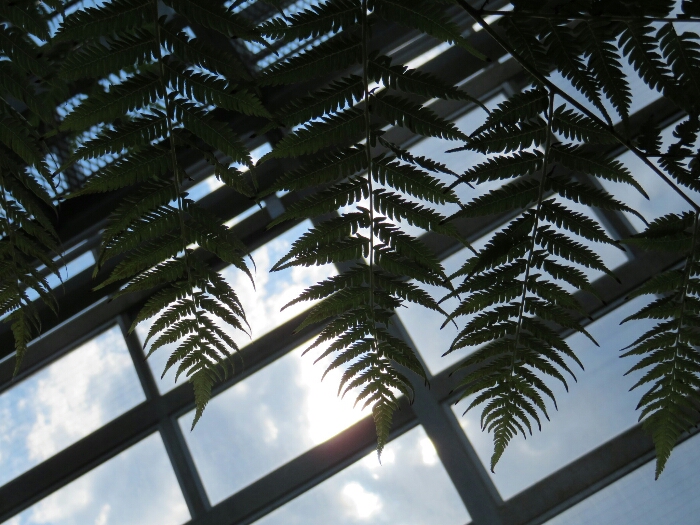 f:id:jerich:20180513000314j:plain f:id:jerich:20180513000314j:plain